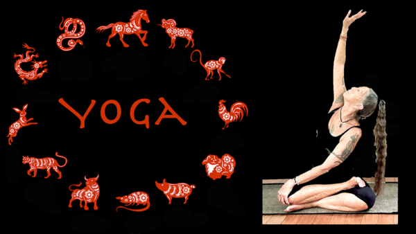 Kim Yin Yoga