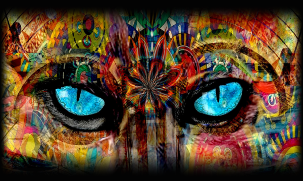 My Annadusa images on DeviantArt